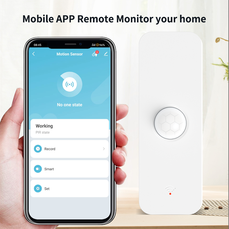 Tuya WiFi Zigbee PIR Motion Se - Smart Home Outdoor のレビューと価格
