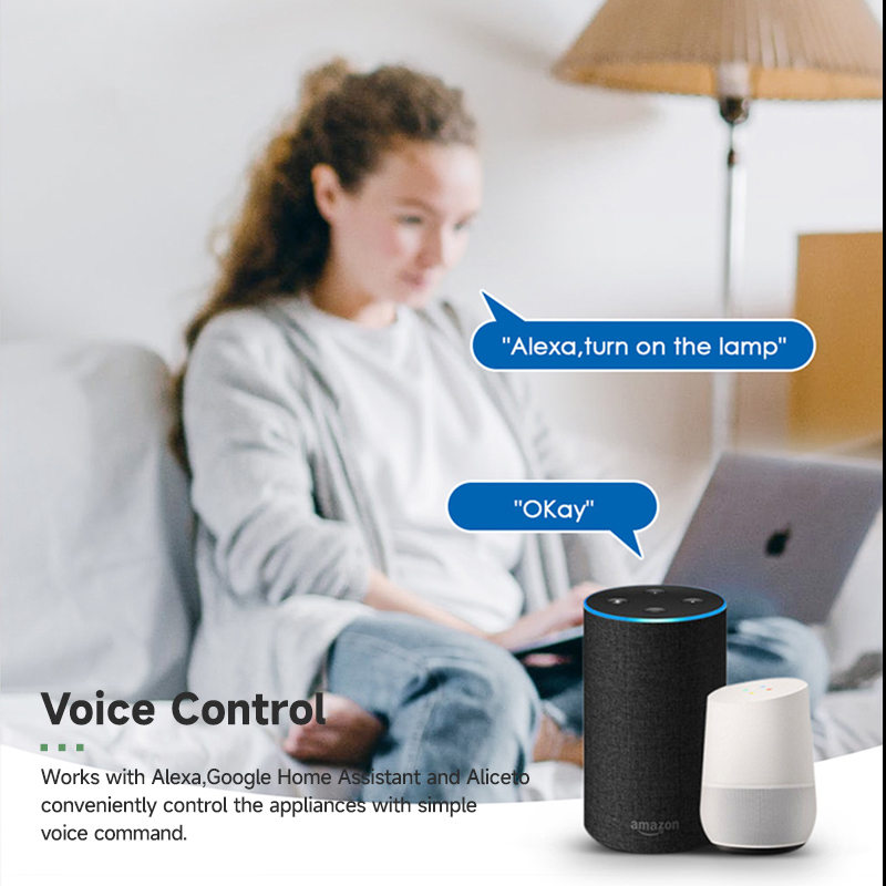 Tuya Smart WiFi Switch Module  - Home Automation Kit のレビューと価格
