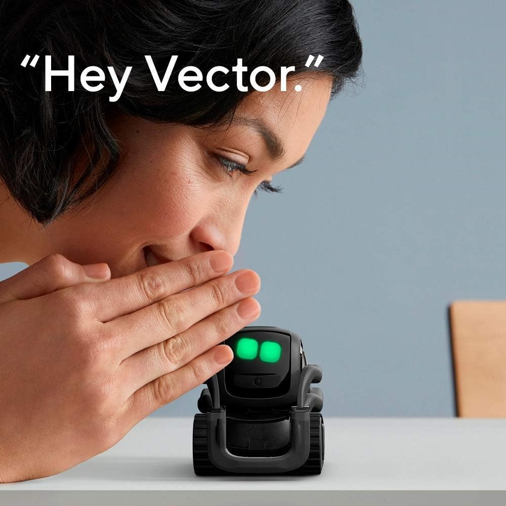 AI ChatGPT 2.0 Connected Robot - Smart Home Controller のレビューと価格