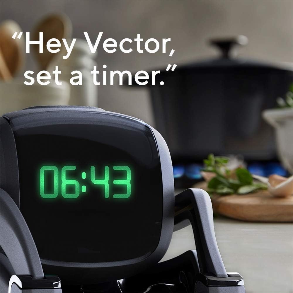 AI ChatGPT 2.0 Connected Robot - Smart Home Controller のレビューと価格