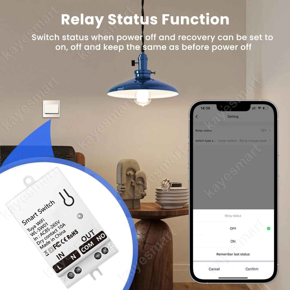 Tuya WiFi Smart Switch Module  - Smart Home Solution のレビューと価格