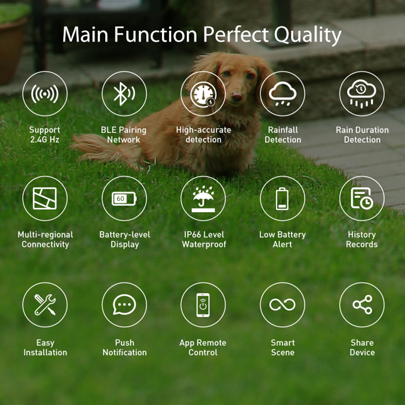 WiFi Rain Sensor Rainfall Dura - Smart Home Outdoor のレビューと価格