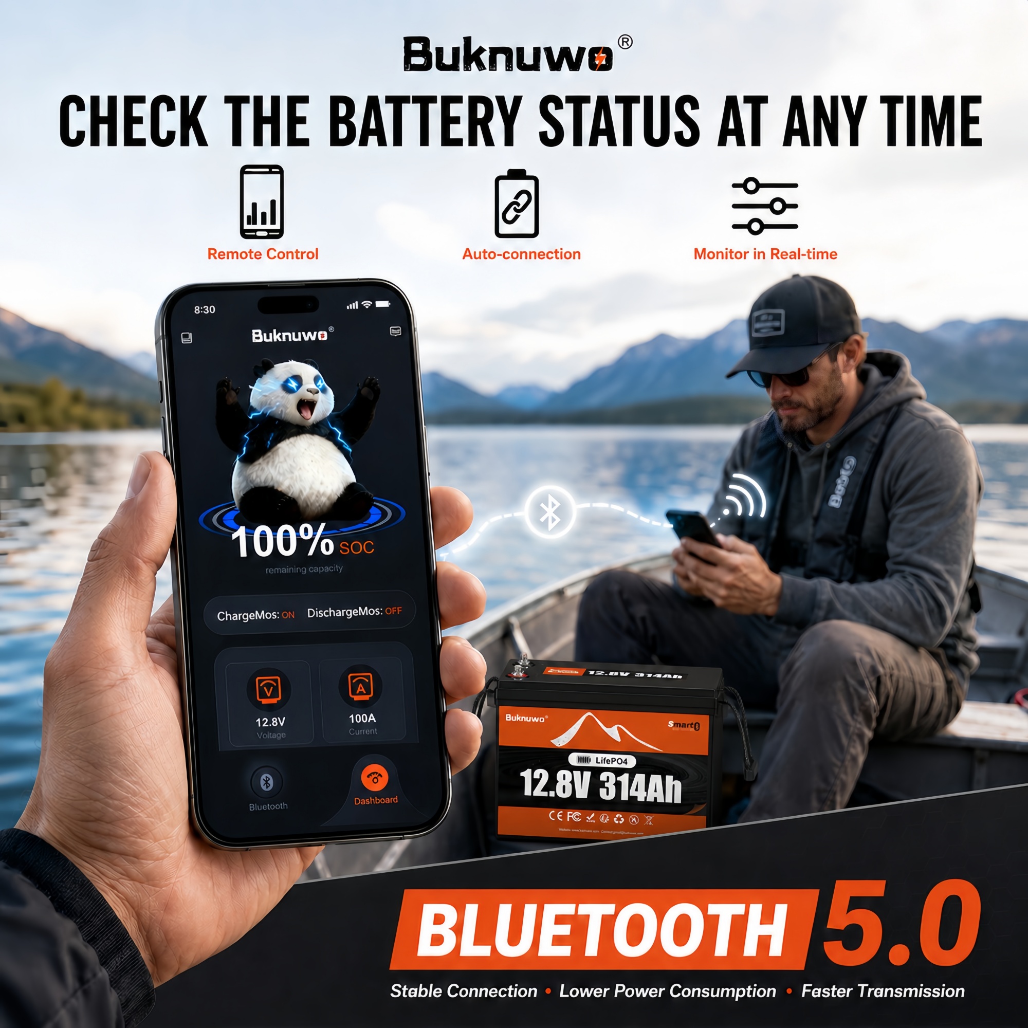 Smart 12V/12.8V 314Ah Bluetoot - Smart Home Outdoor のレビューと価格